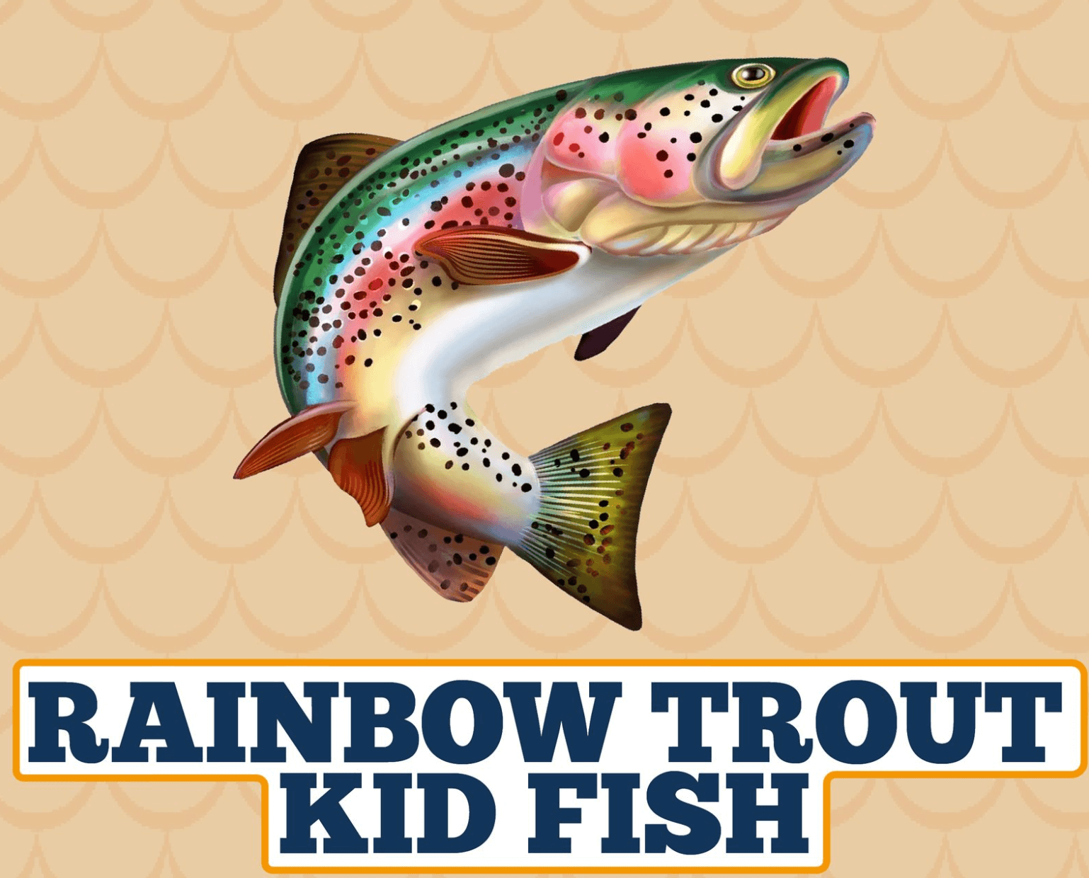 Rainbow Trout Kid Fish Visit Bay Area Houston
