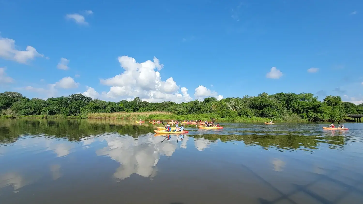 kayaks on the bayou in the Bay Area of Texas